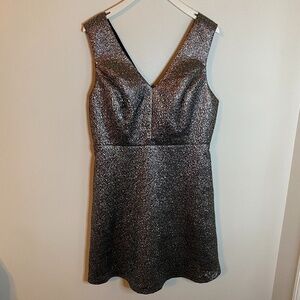 C Puce Silver/black shimmery dress Size Large
